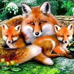 Meet your Posher, Diane